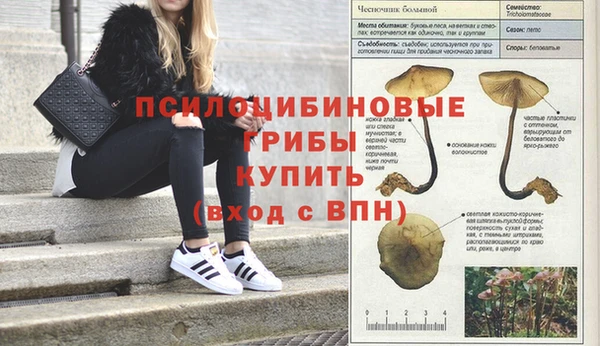 спайс Лихославль