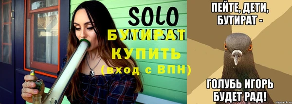индика Лабытнанги