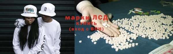 индика Лабытнанги