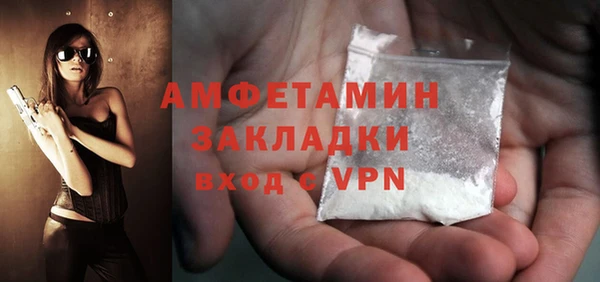 прущие грибы Ладушкин