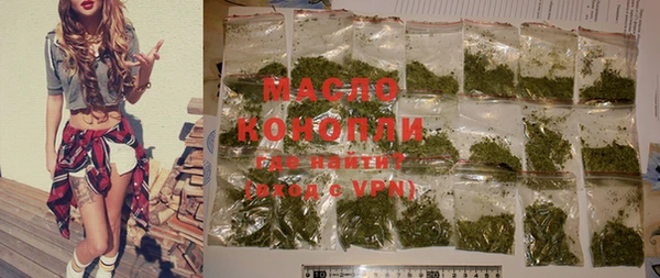 индика Лабытнанги