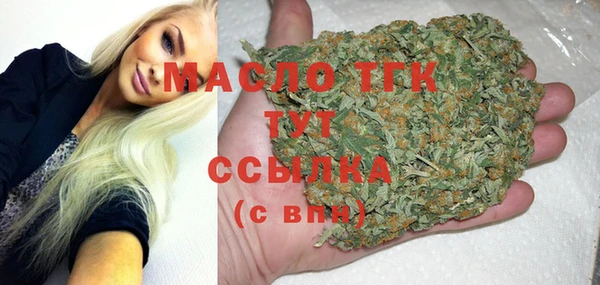 индика Лабытнанги