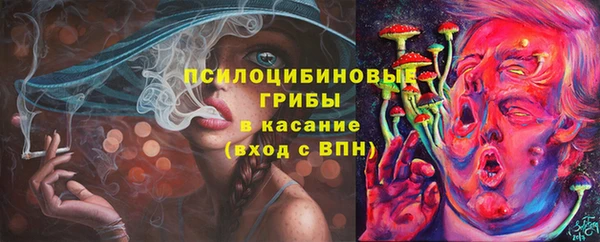гидра Кулебаки