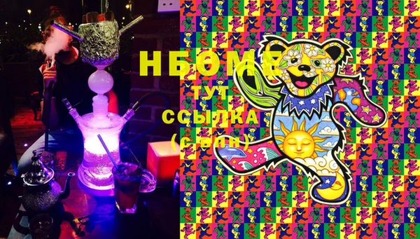 прущие грибы Ладушкин