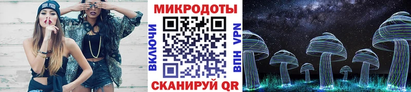 Псилоцибиновые грибы Psilocybe  МЕГА ТОР  Стародуб 